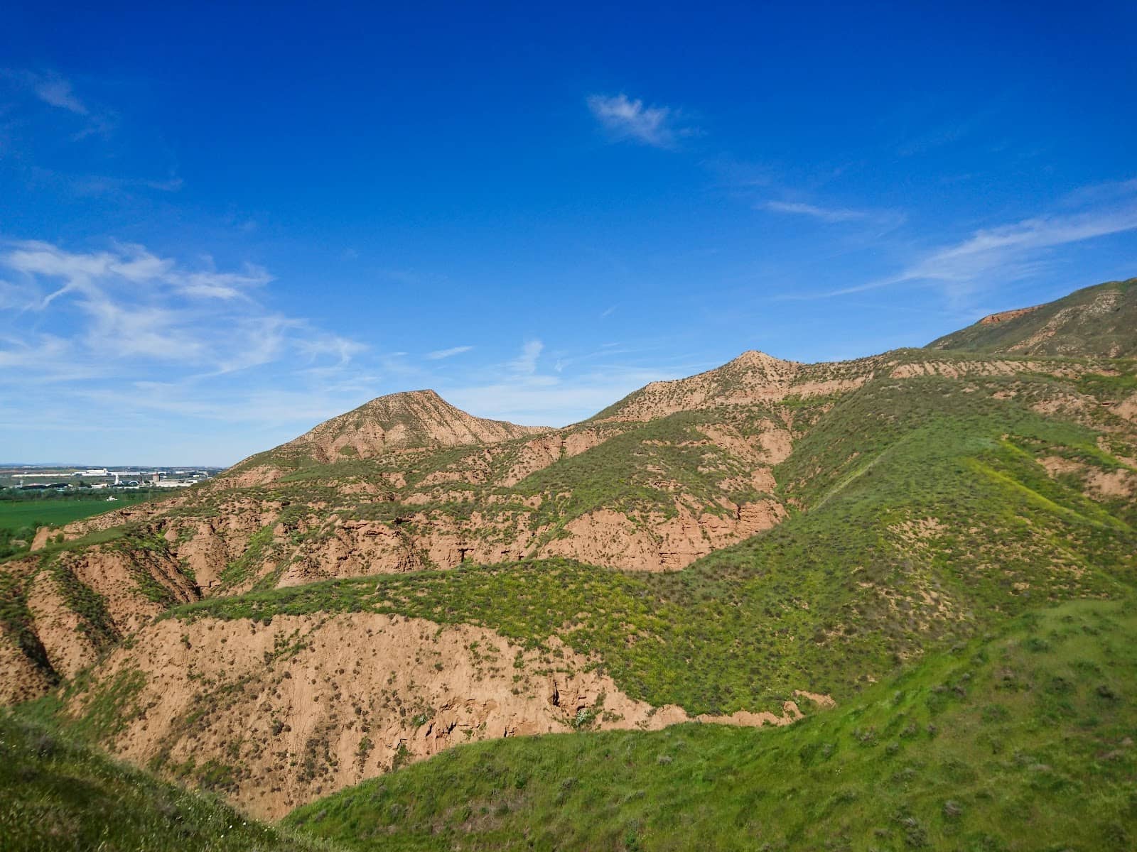 Picnic Spots with a View