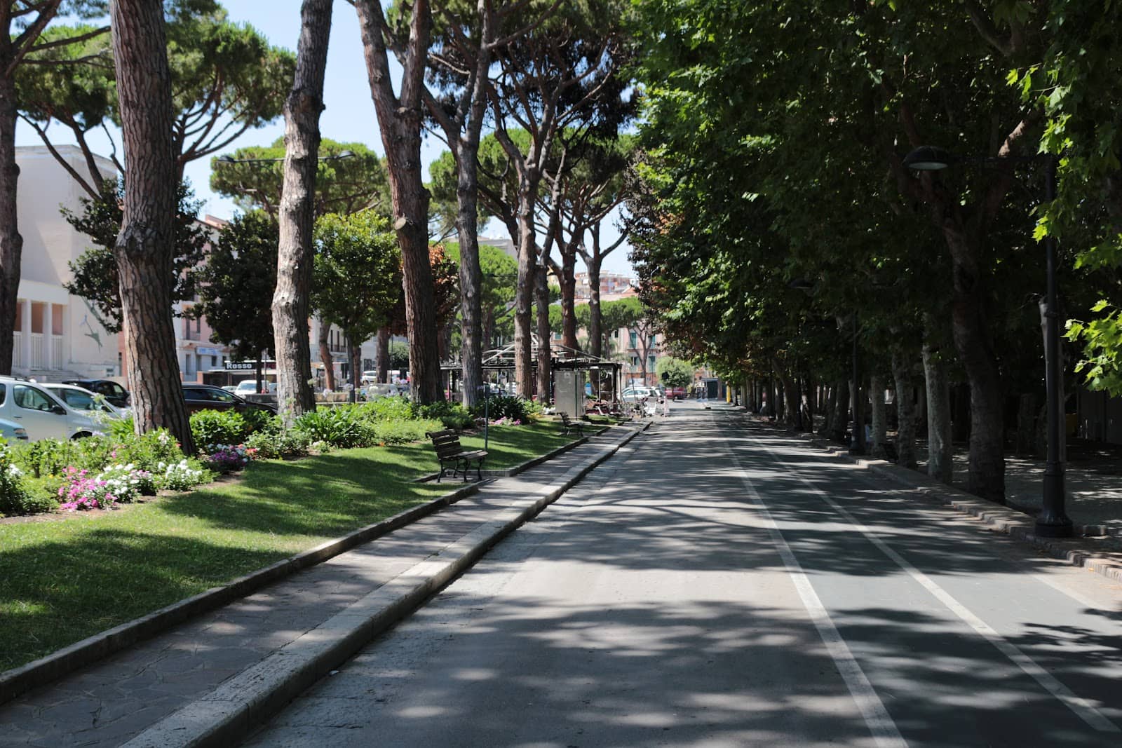 Christmas Markets & Ice Skating