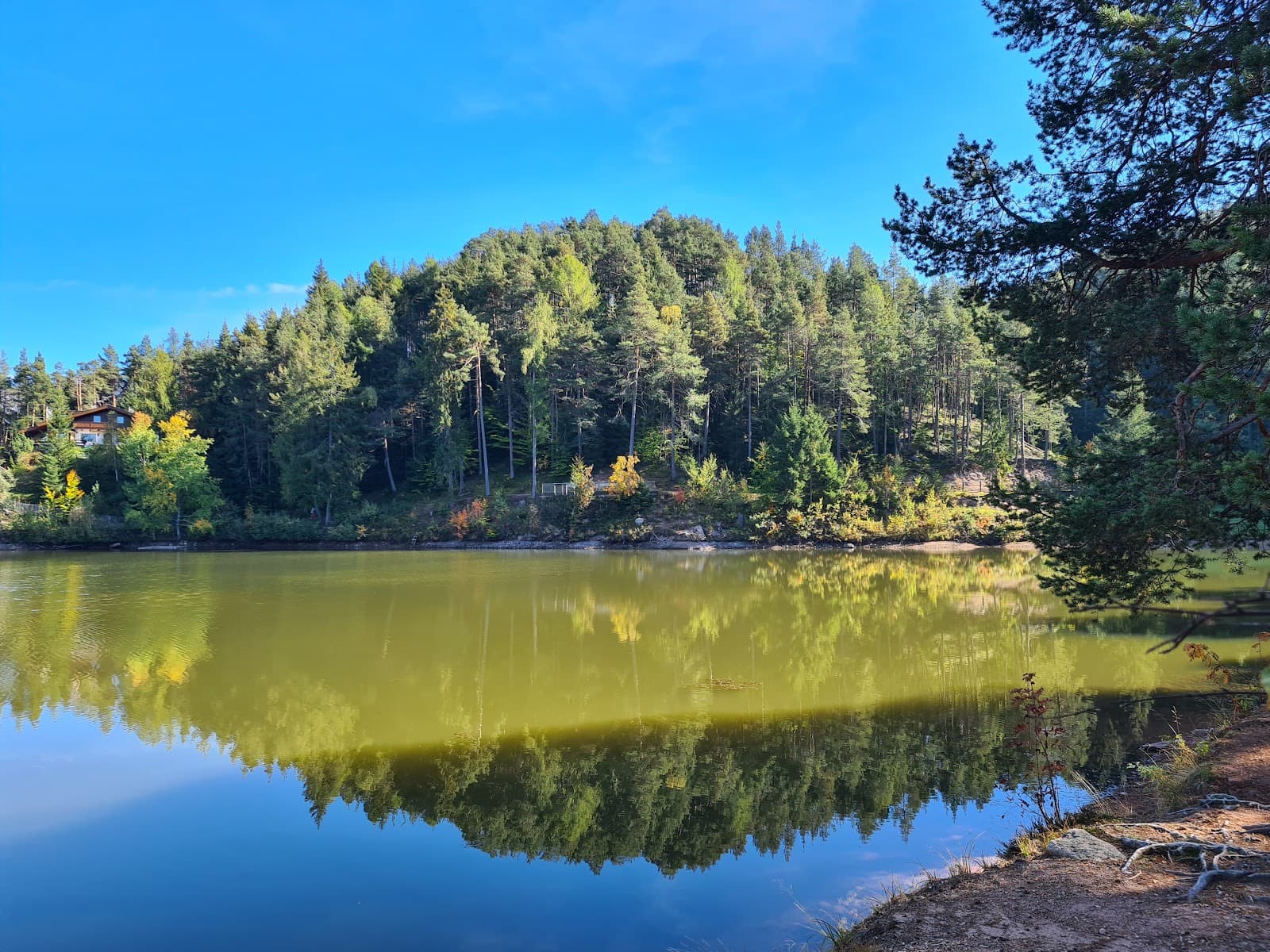 Lago di Costalovara (Wolfsgrubner See) - Image 1