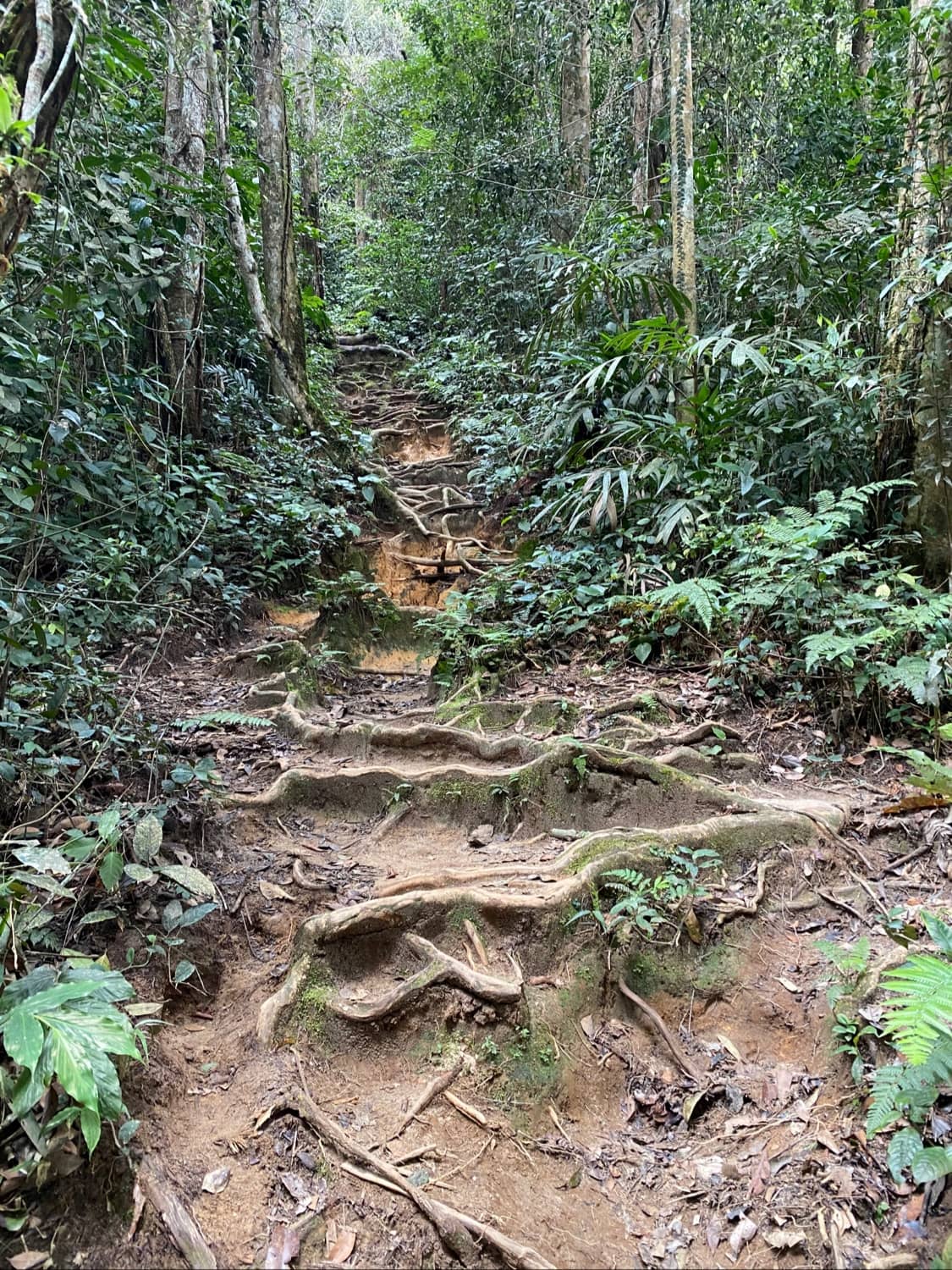 Vertical photo