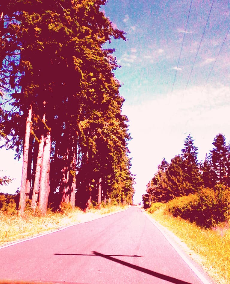 Marine Drive Sequim Washington - Image 1