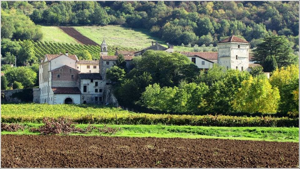 Colli Berici - Image 1