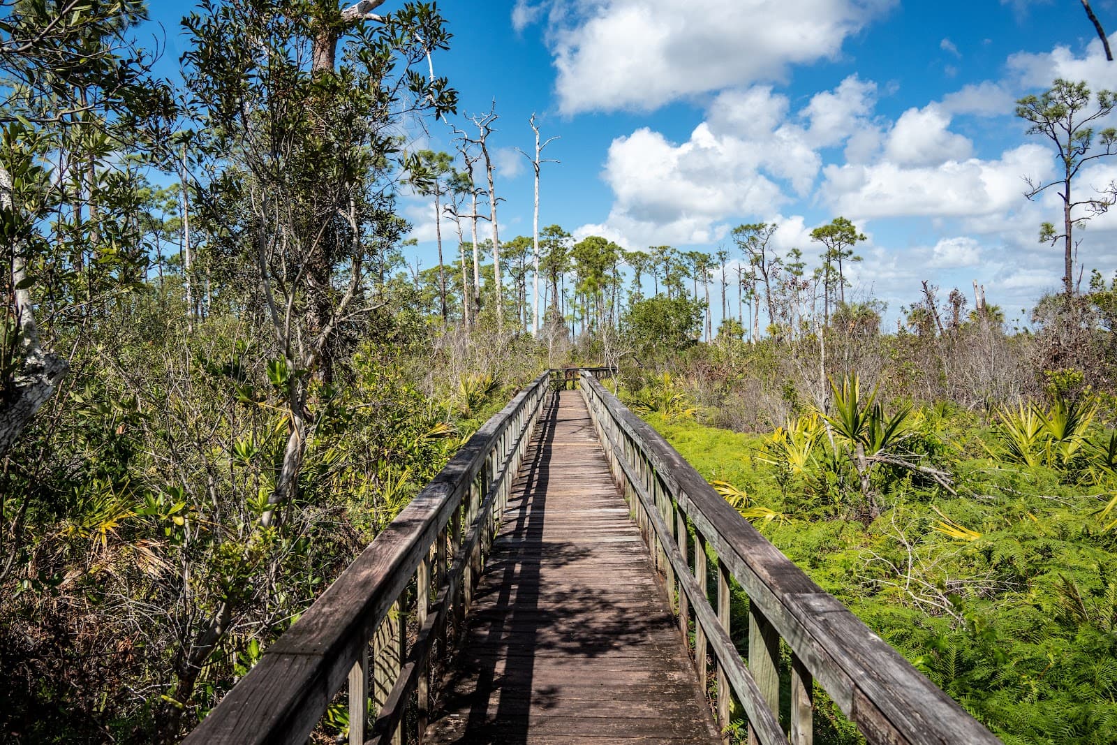 Briggs Boardwalk - Image 1