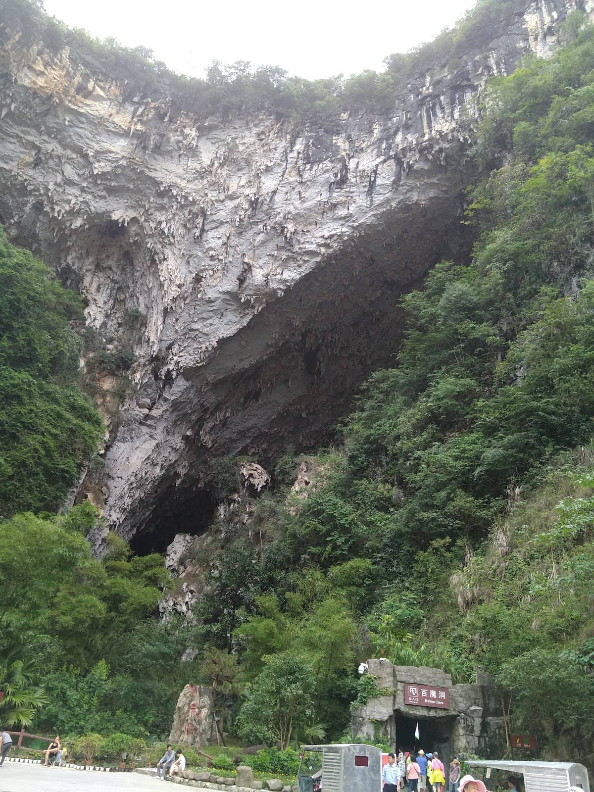 Vertical photo
