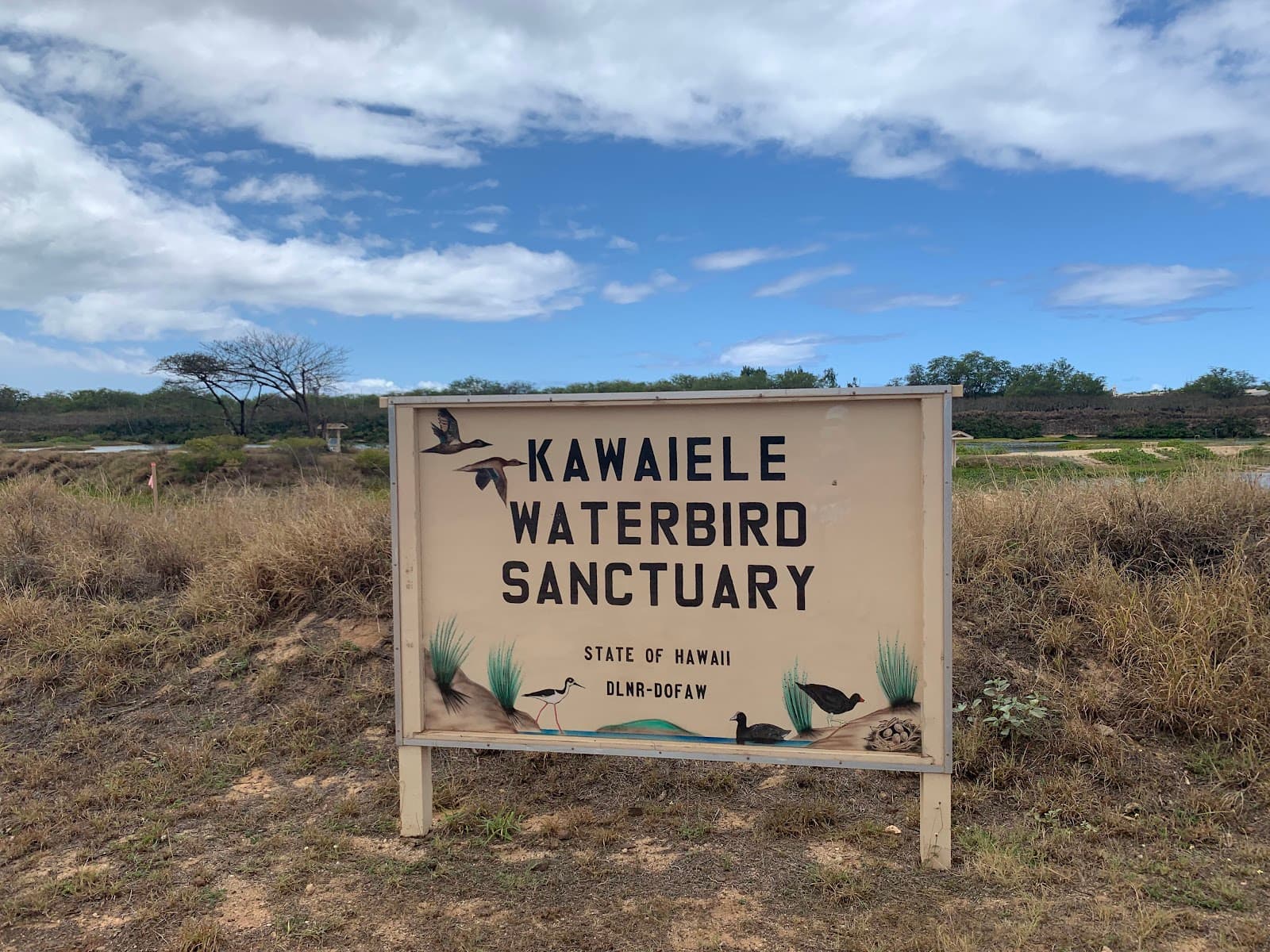 Kawai'ele Waterbird Sanctuary - Image 1