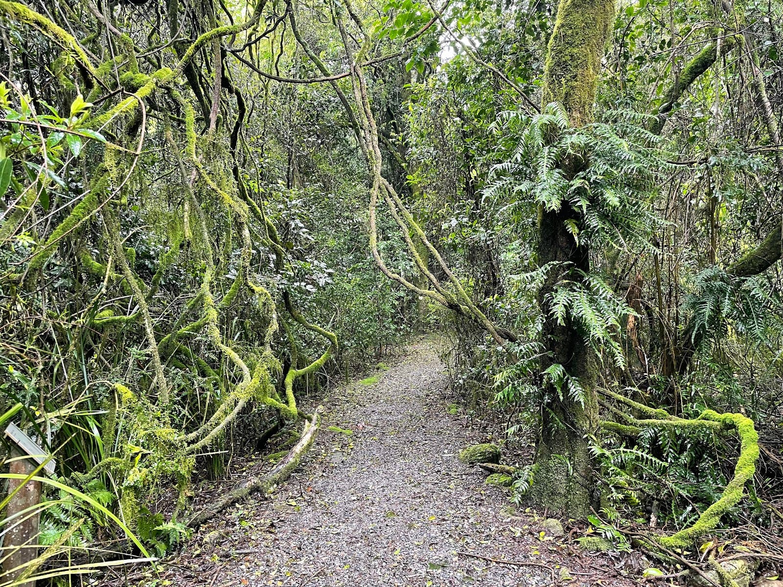 Robertson Nature Reserve - Image 1