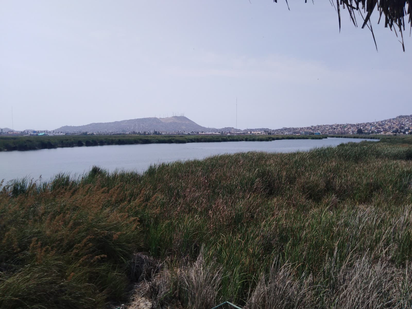 Pantanos de Villa Wetlands Lima - Image 1