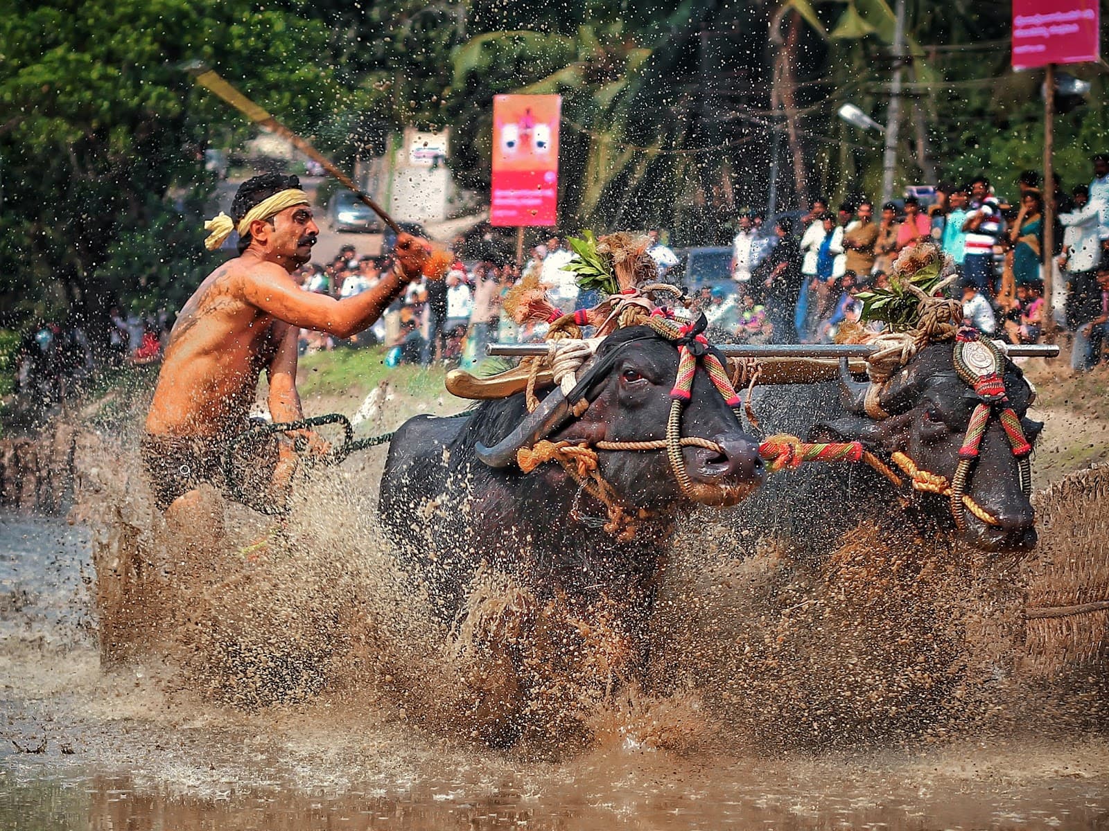 Kadri Kambla Ground - Image 1