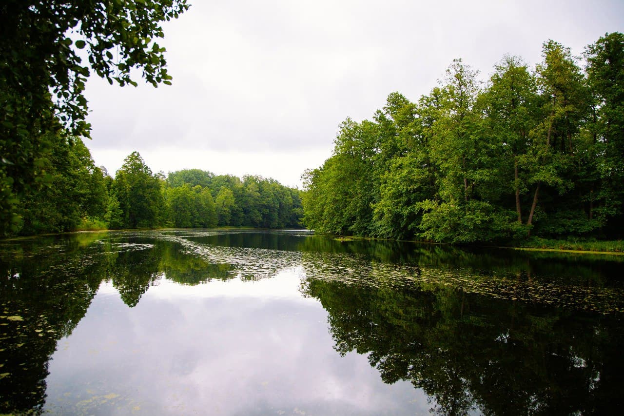 Mordovia State Nature Reserve - Image 1