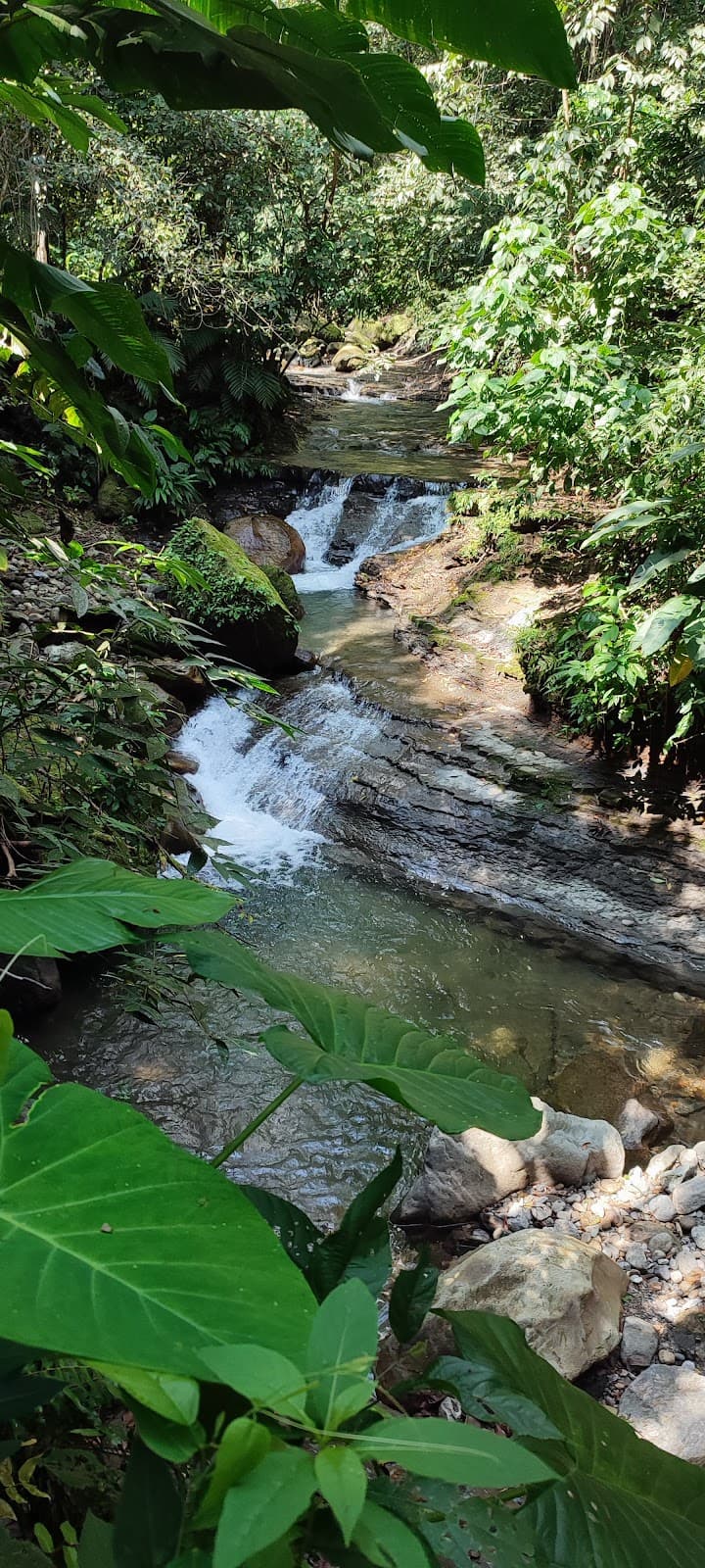 Agua Selva Ecopark - Image 1