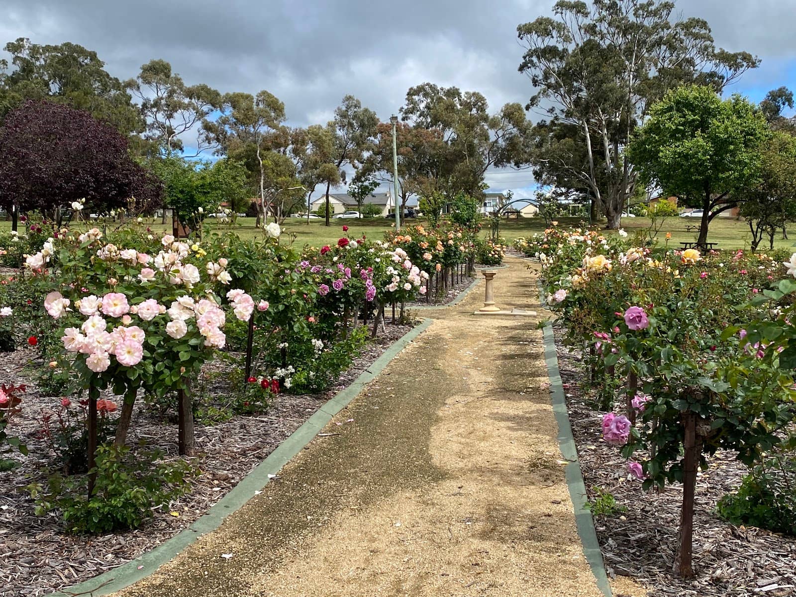 Multi-Age Play Zones