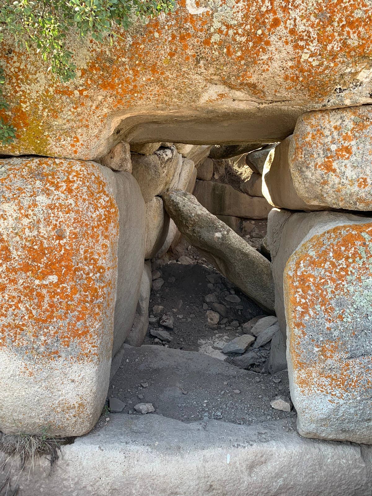 Vertical photo
