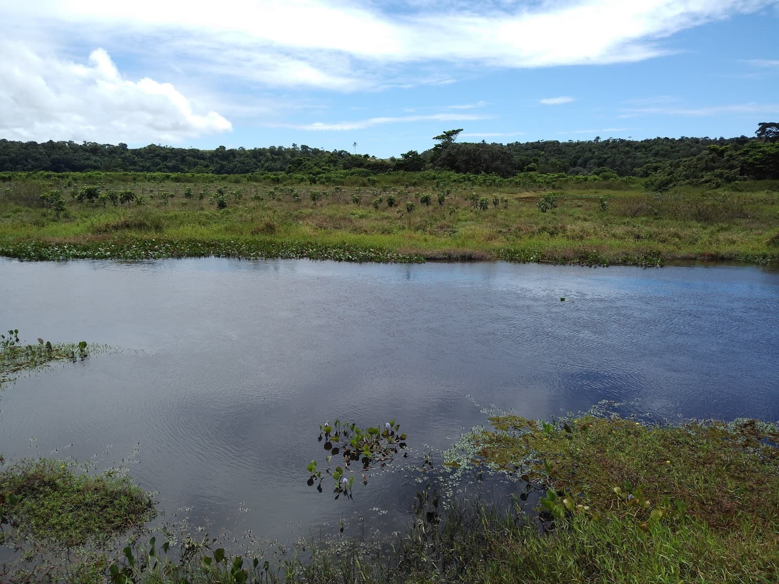 Rio dos Frades Ecological Refuge - Image 1