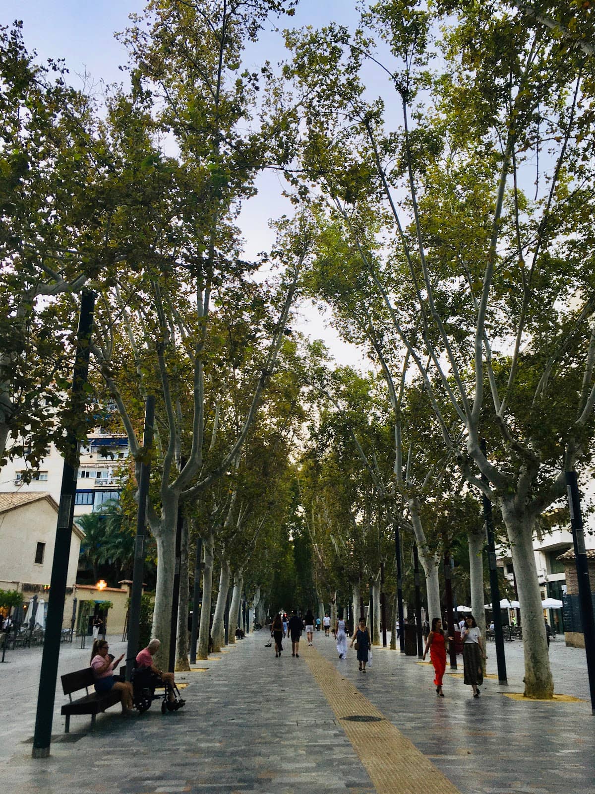 Vertical photo