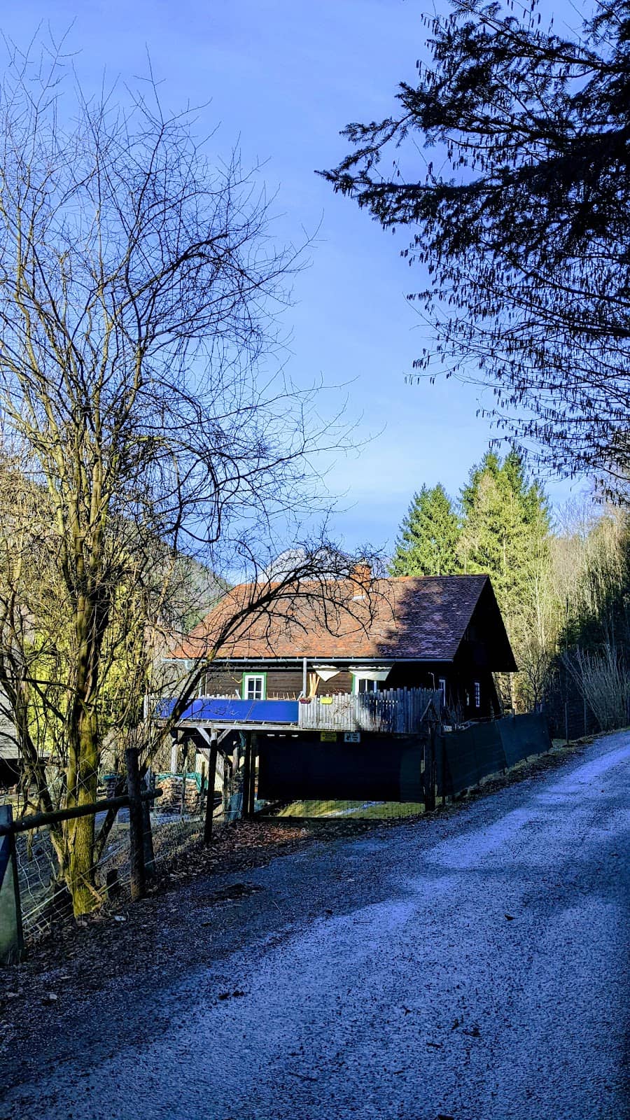 Vertical photo