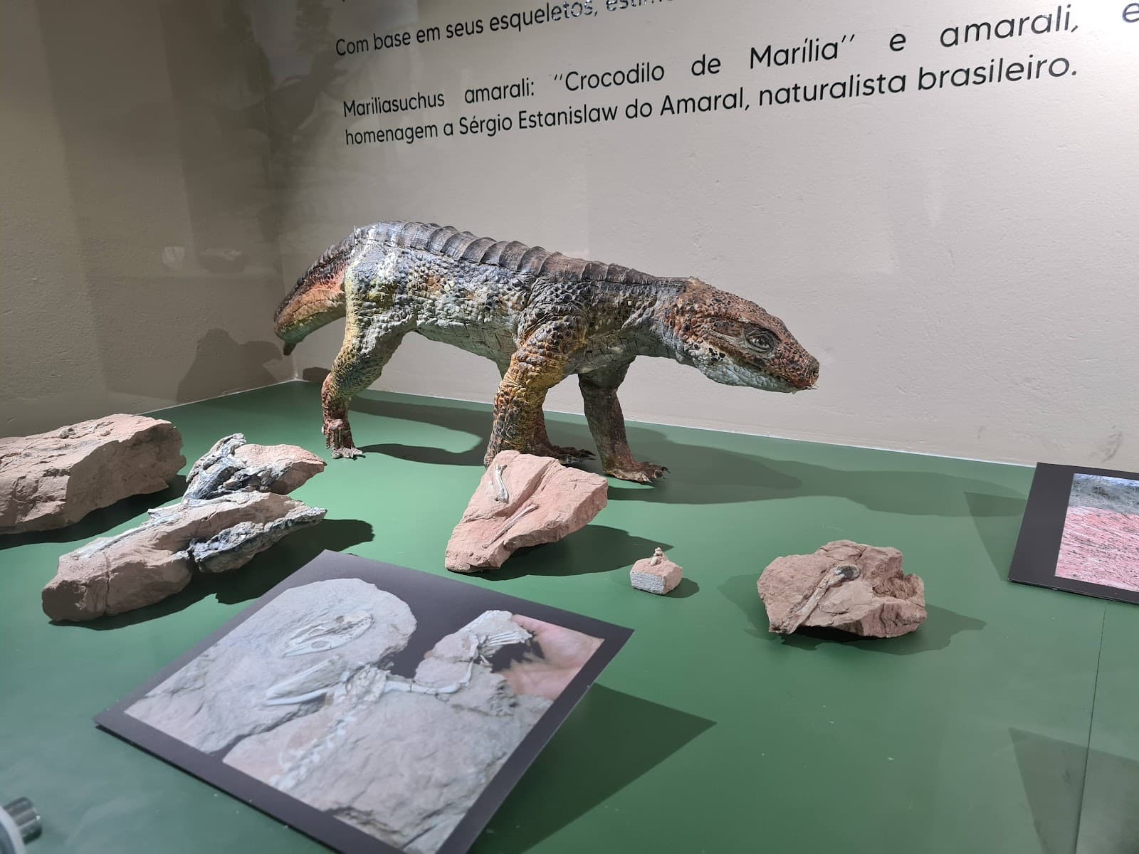 Museu de Paleontologia de Marília São Paulo - Image 1