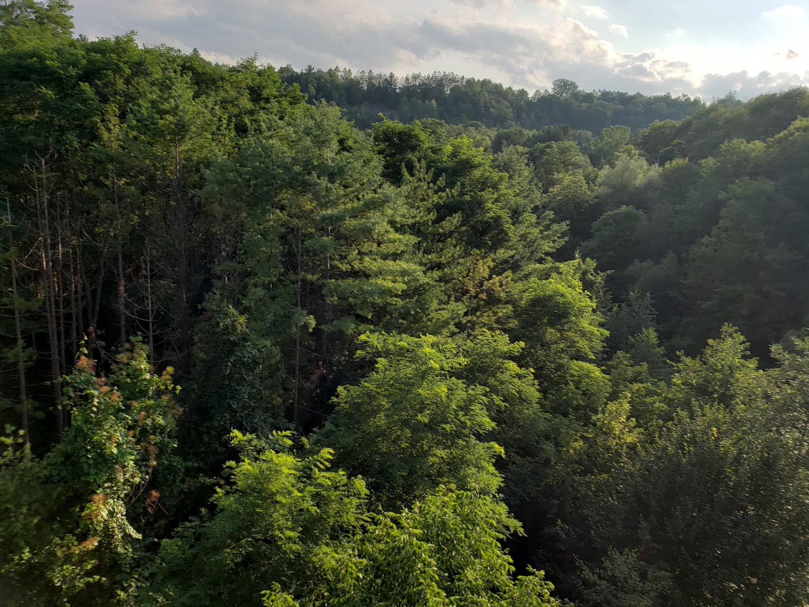Vertical photo
