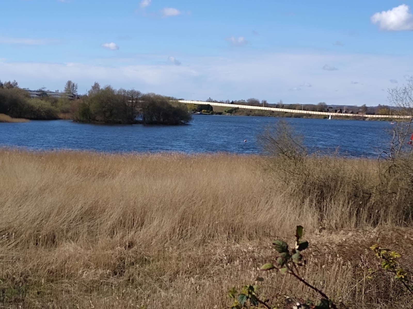 Wigan Flashes National Nature Reserve - Image 1