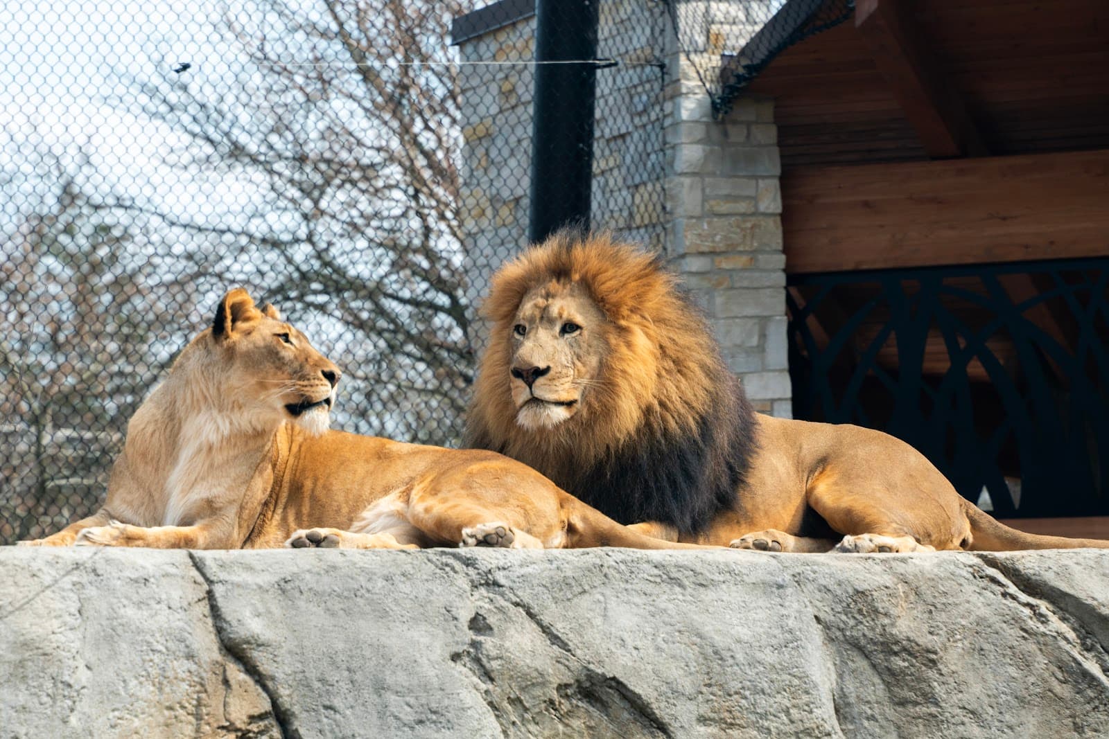 Potawatomi Zoo - Image 1