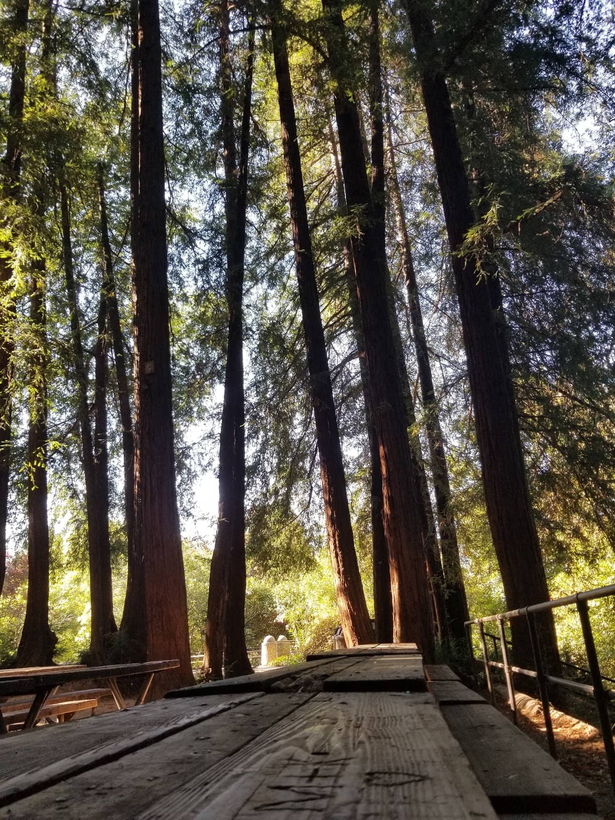 Neighborhood Loop Hike
