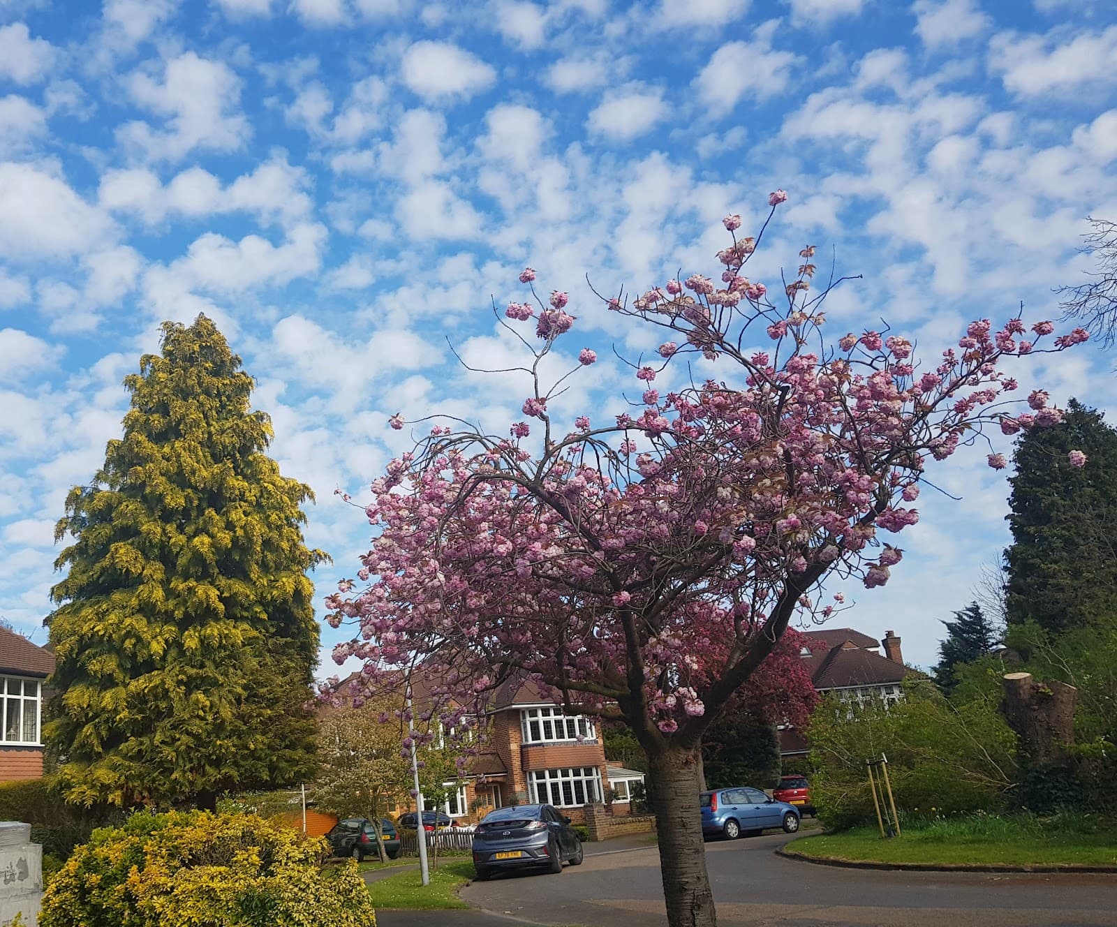 Berrylands - Image 1