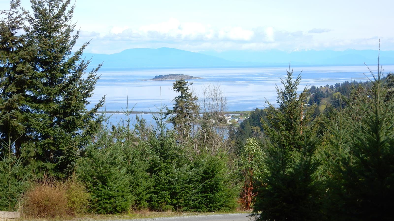 Arbutus Grove Provincial Park - Image 1