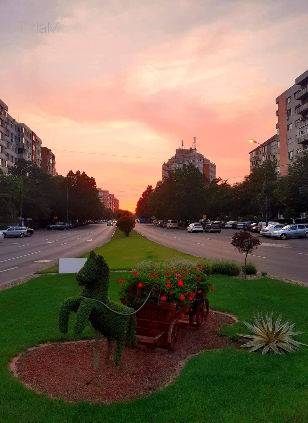 Vertical photo