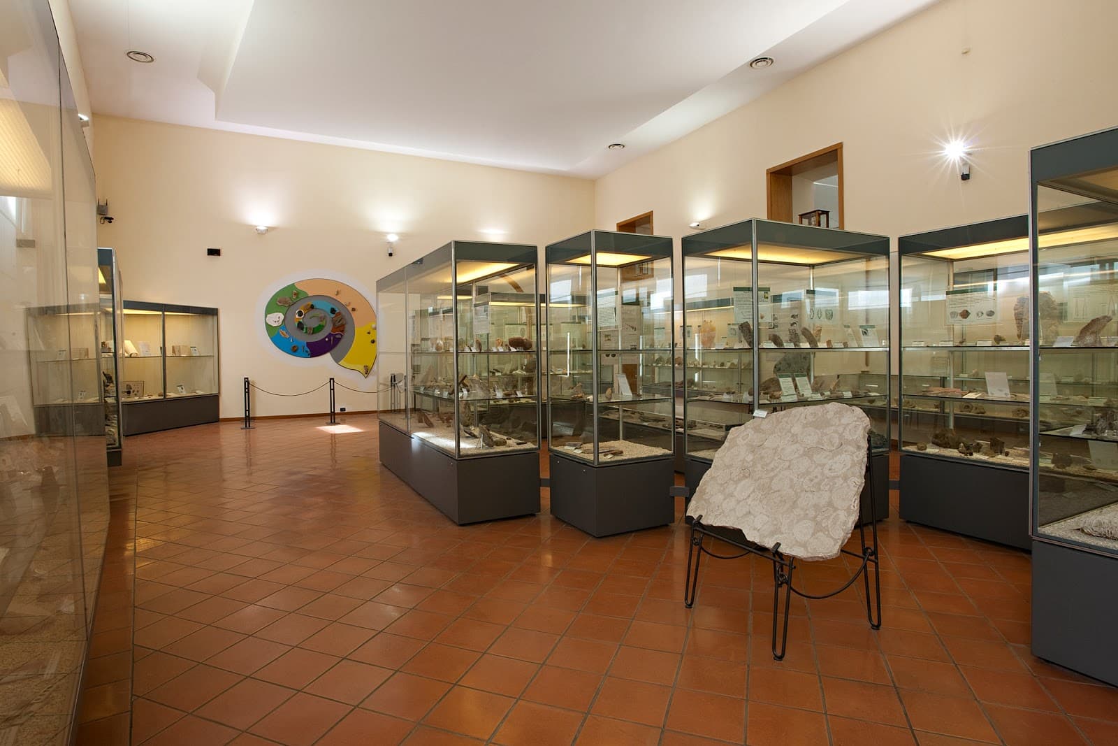 Museo di Paleontologia di Napoli - Image 1