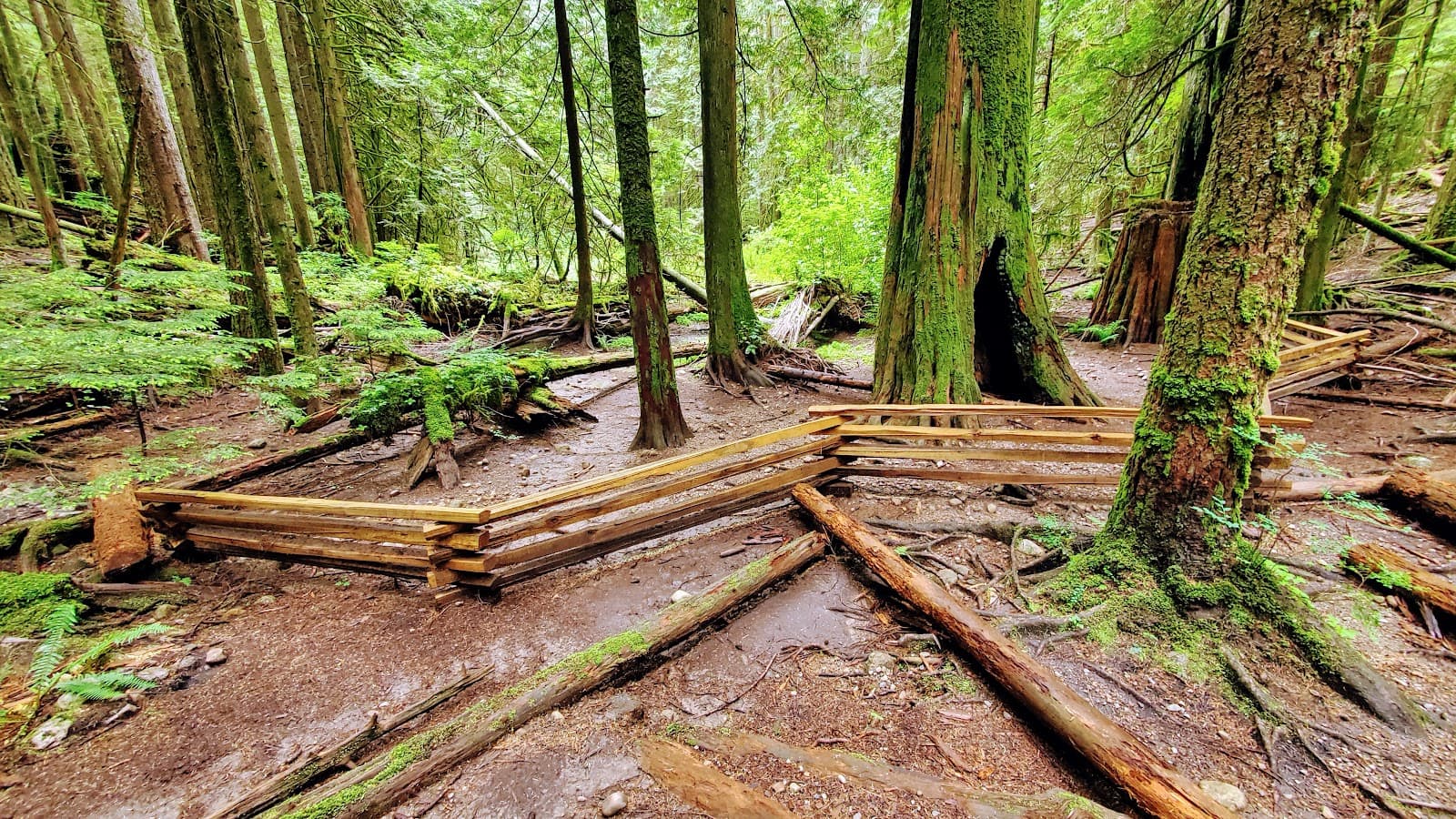 Seymour Valley Trailway - Image 1