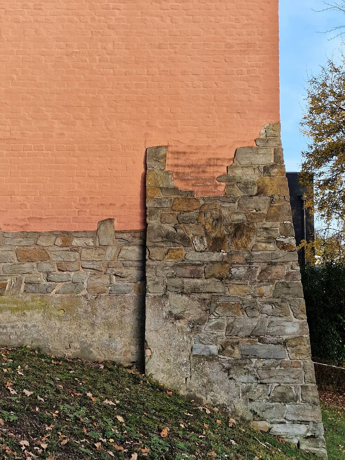 Vertical photo