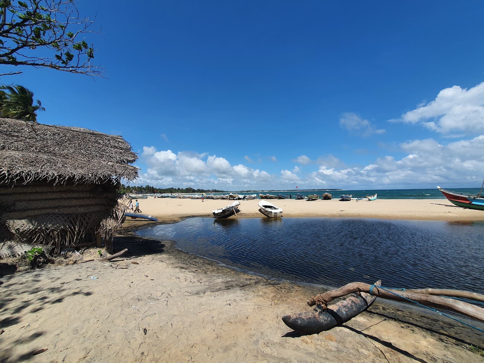 Baby Point - Image 1