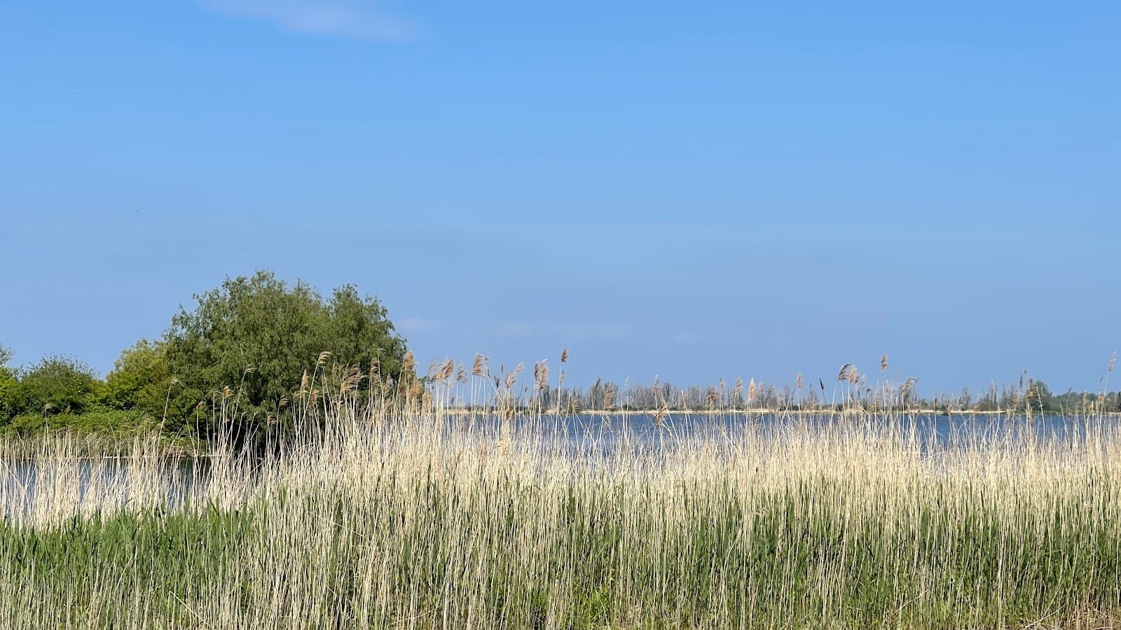 Noorderplassen Nature Reserve - Image 1