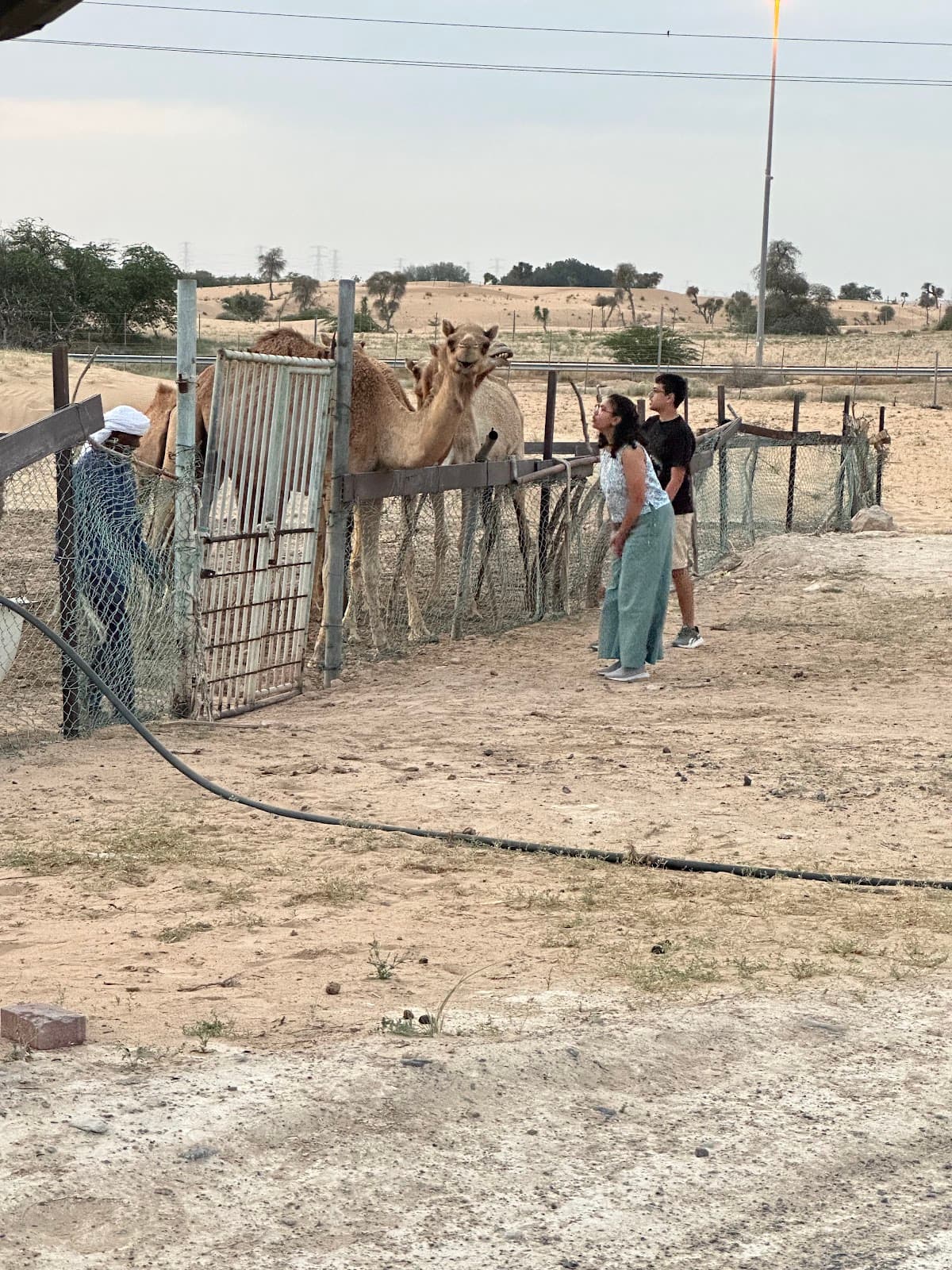 Dubai Heritage Village - Image 1