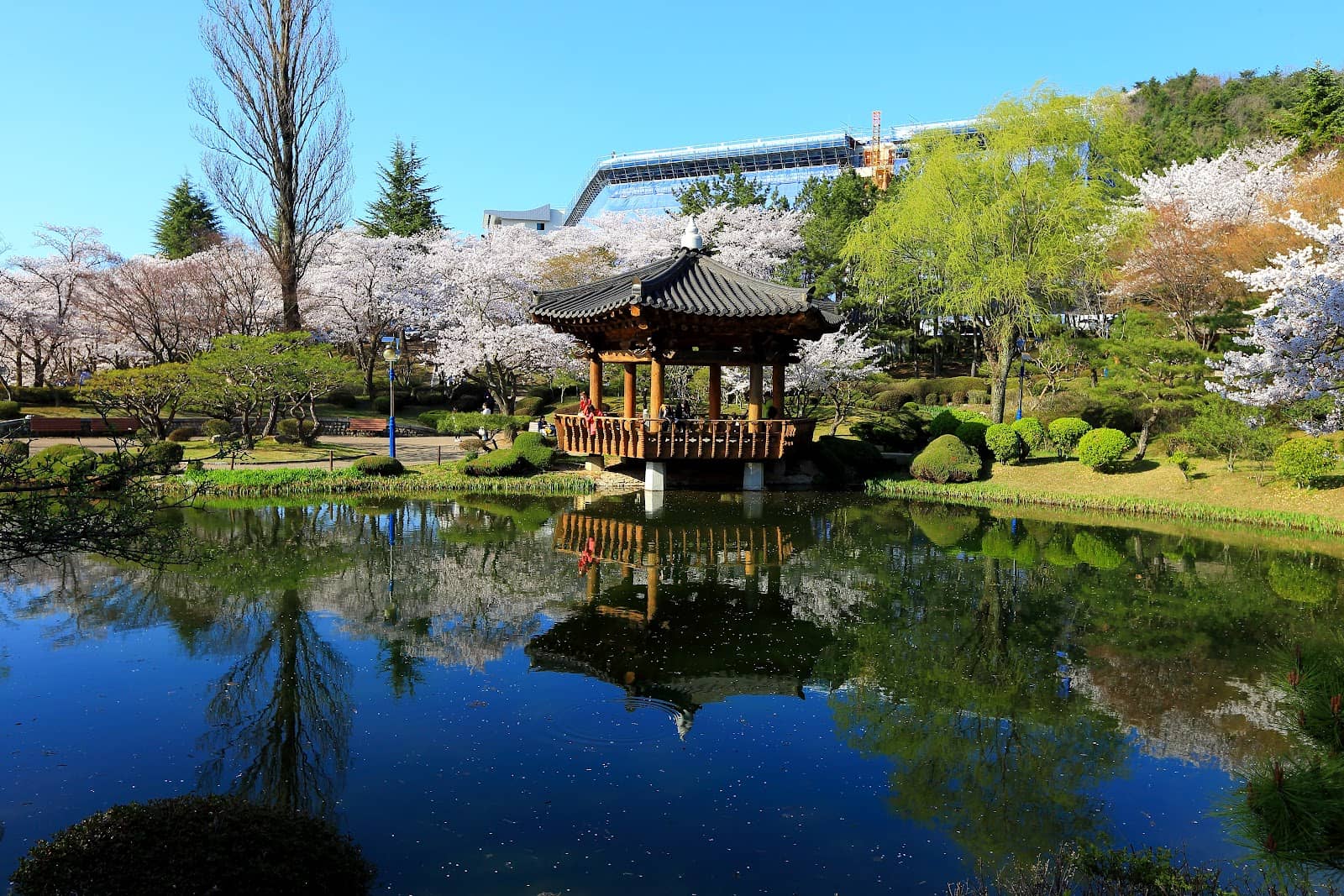 Tranquil Lake Views