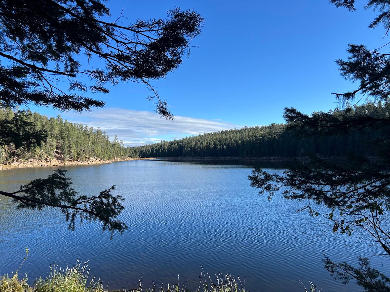 Mogollon Rim Hiking Trails