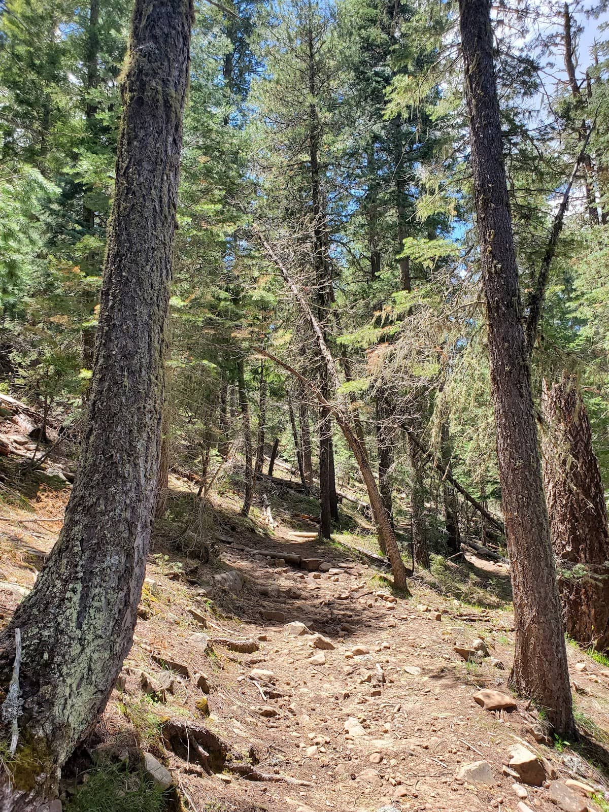 Vertical photo
