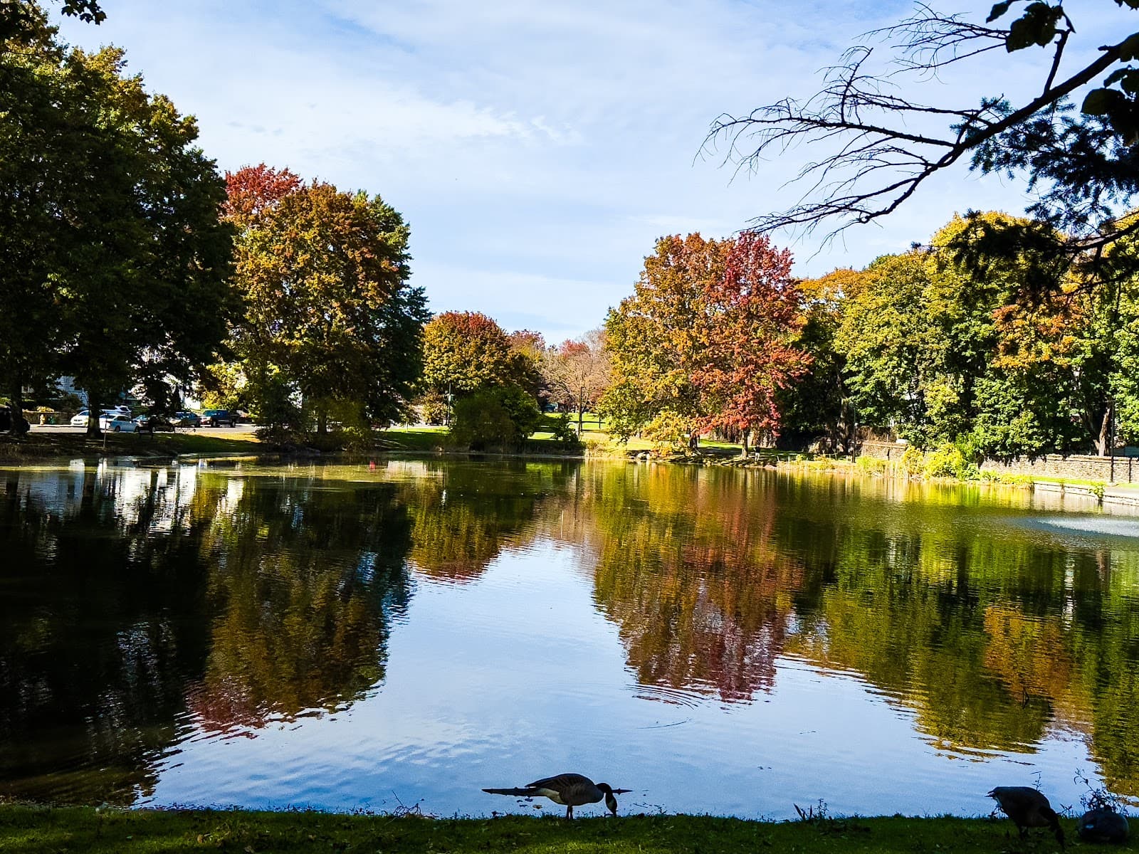 University Park (Crystal Park) - Image 1