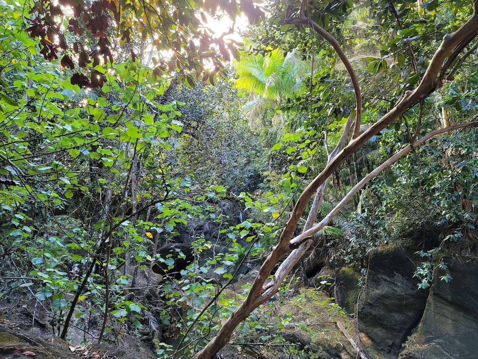 Vertical photo