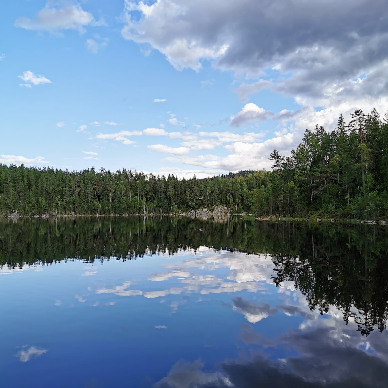 Østmarka Forest Oslo - Image 1