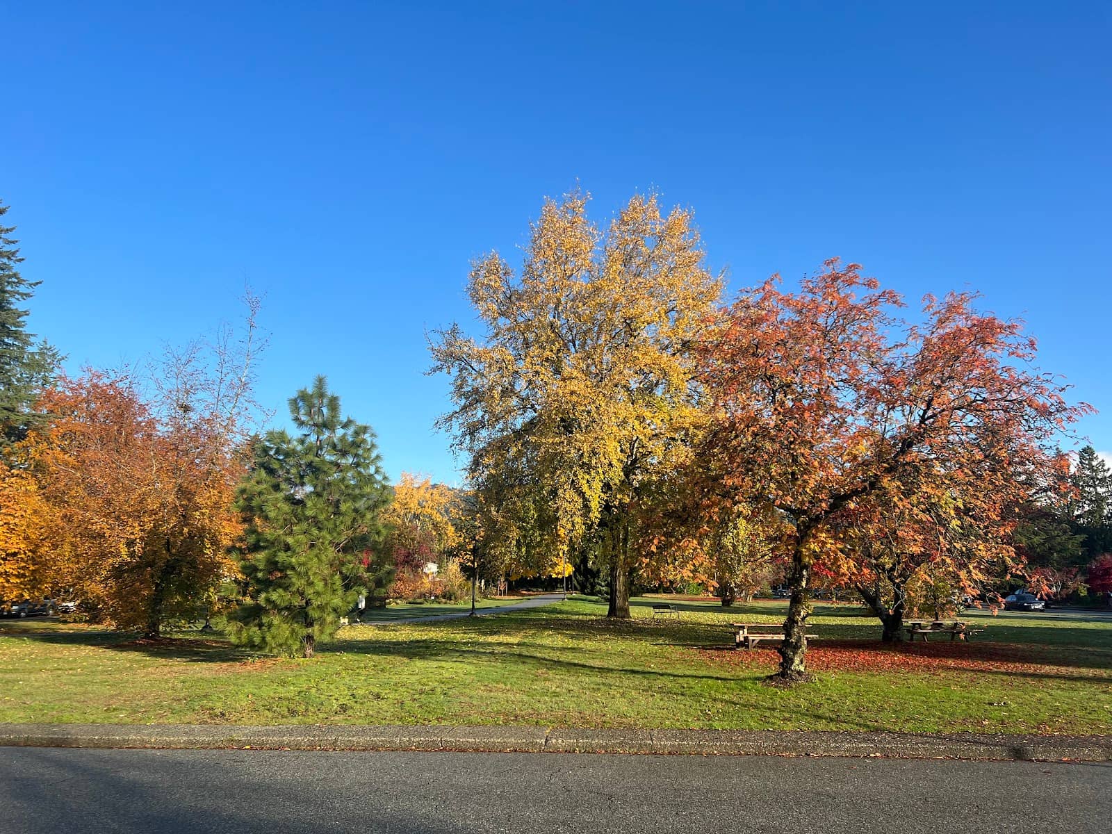 Picnic Spots