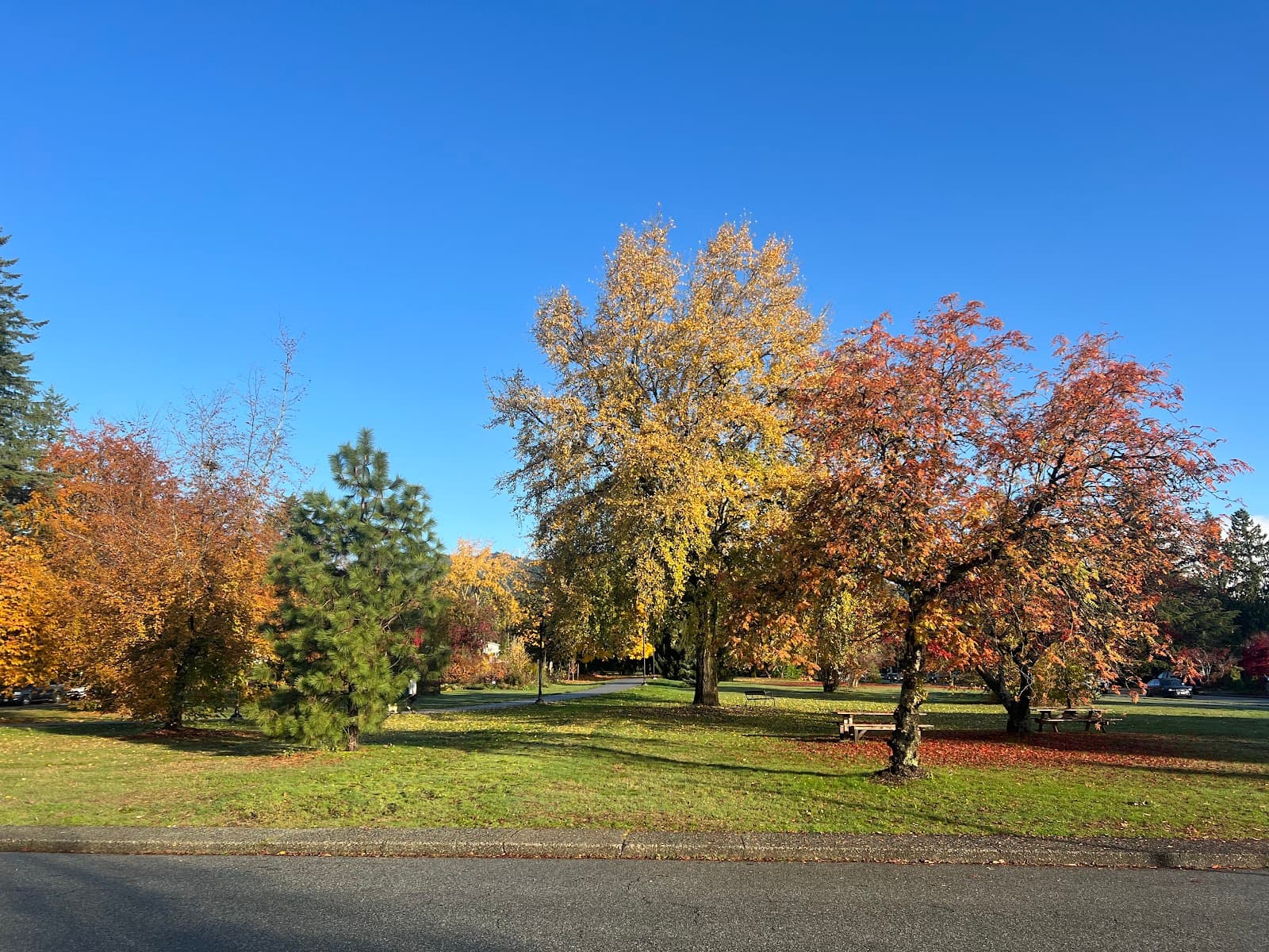 Grand Boulevard Park - Image 1