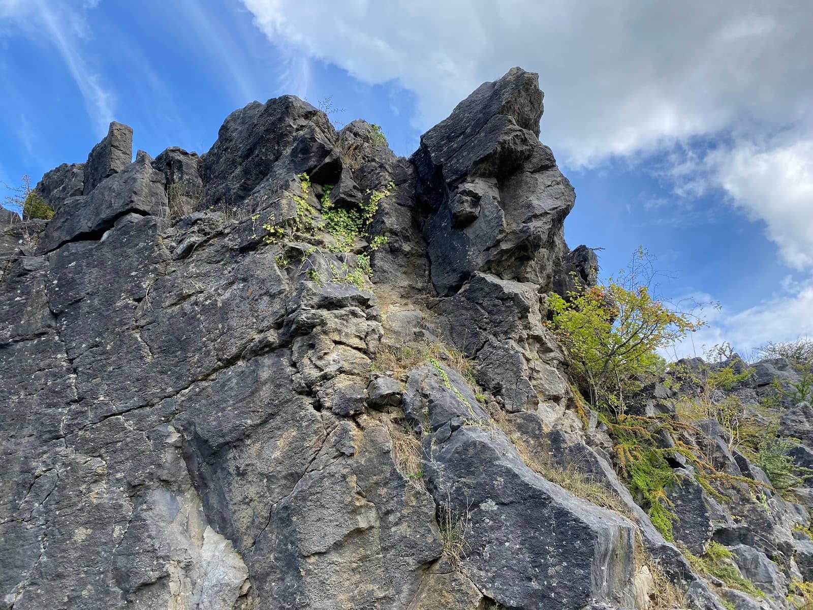 Vertical photo
