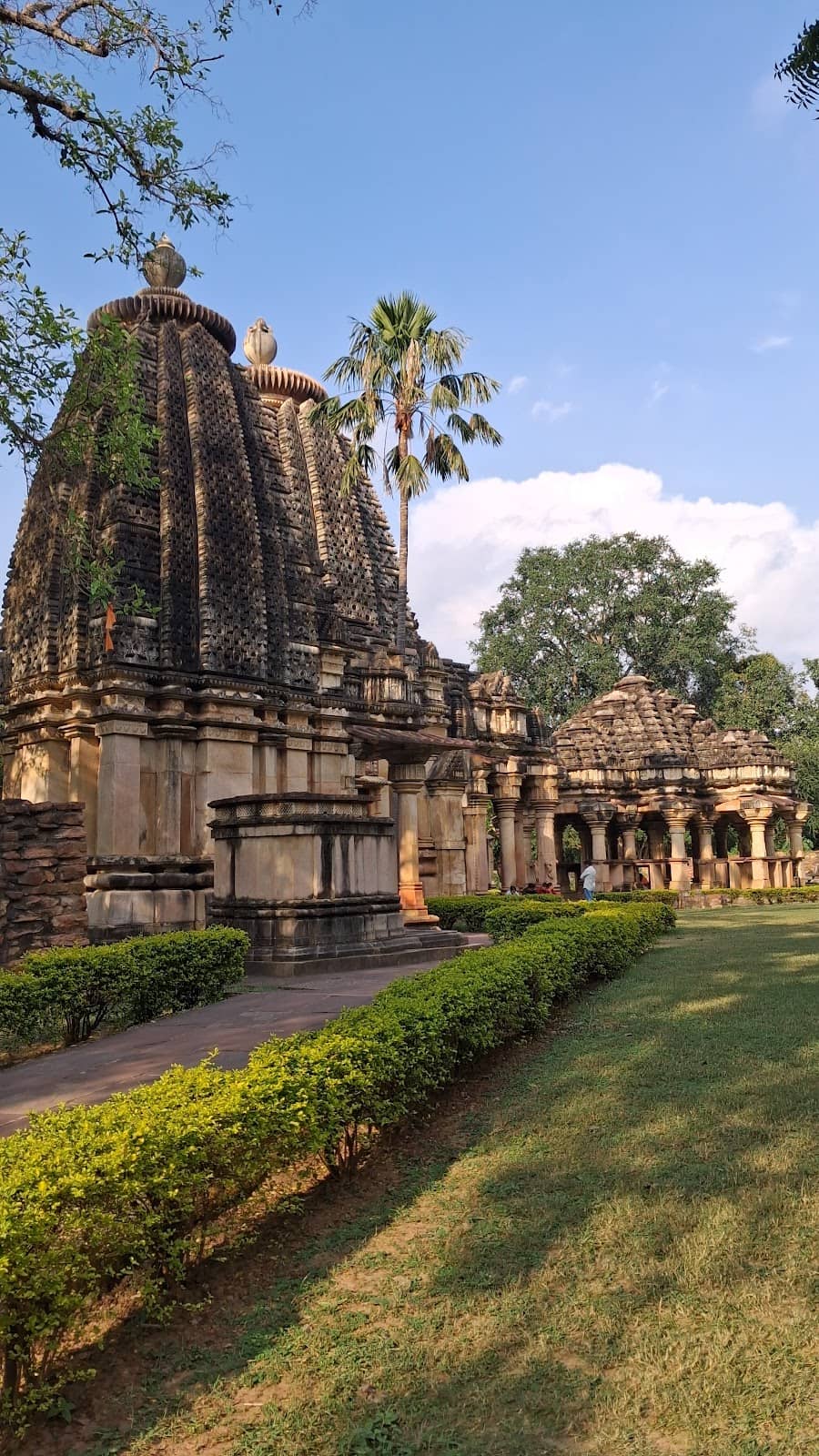 Peaceful Park Setting