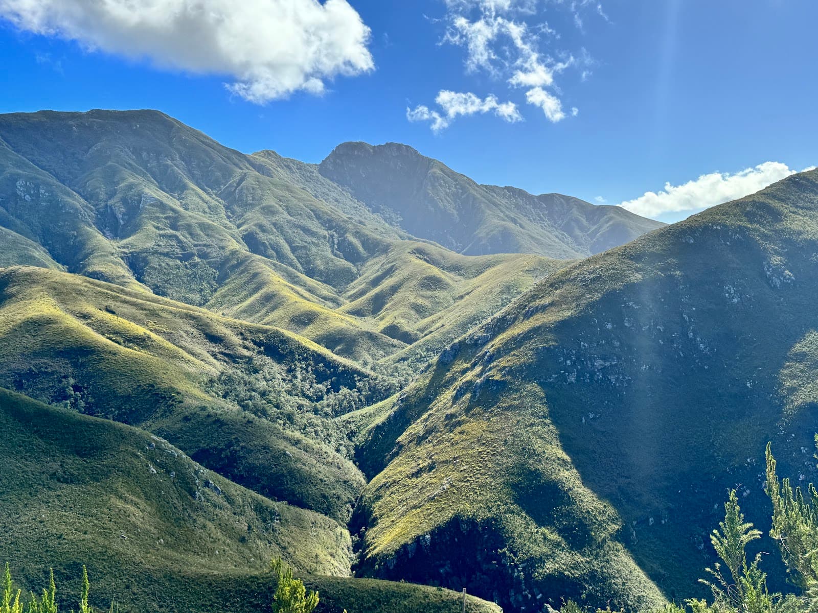 Witfontein Forest Trails - Image 1