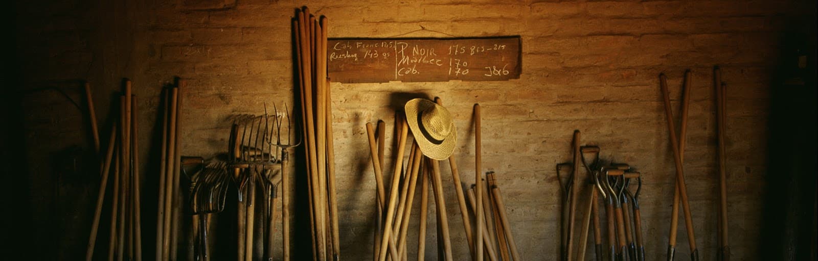 Luigi Bosca - Image 1