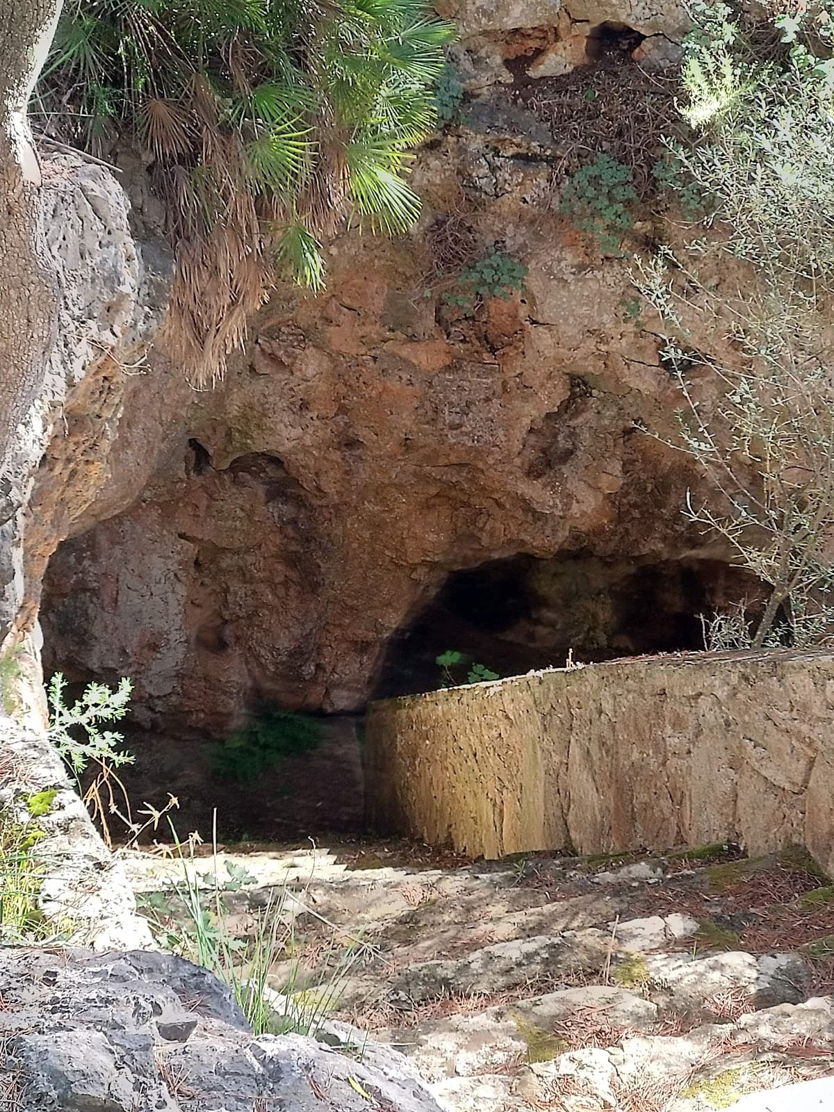 Cova de Sant Martí - Image 1