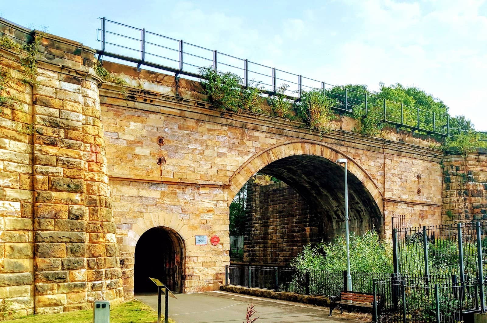 Vertical photo