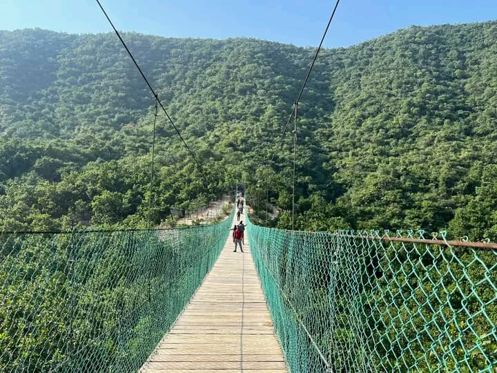 Rajgir Glass Skywalk Nature Safari - Image 1