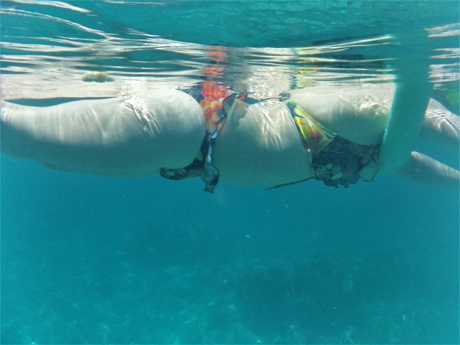 Snorkeling & Diving