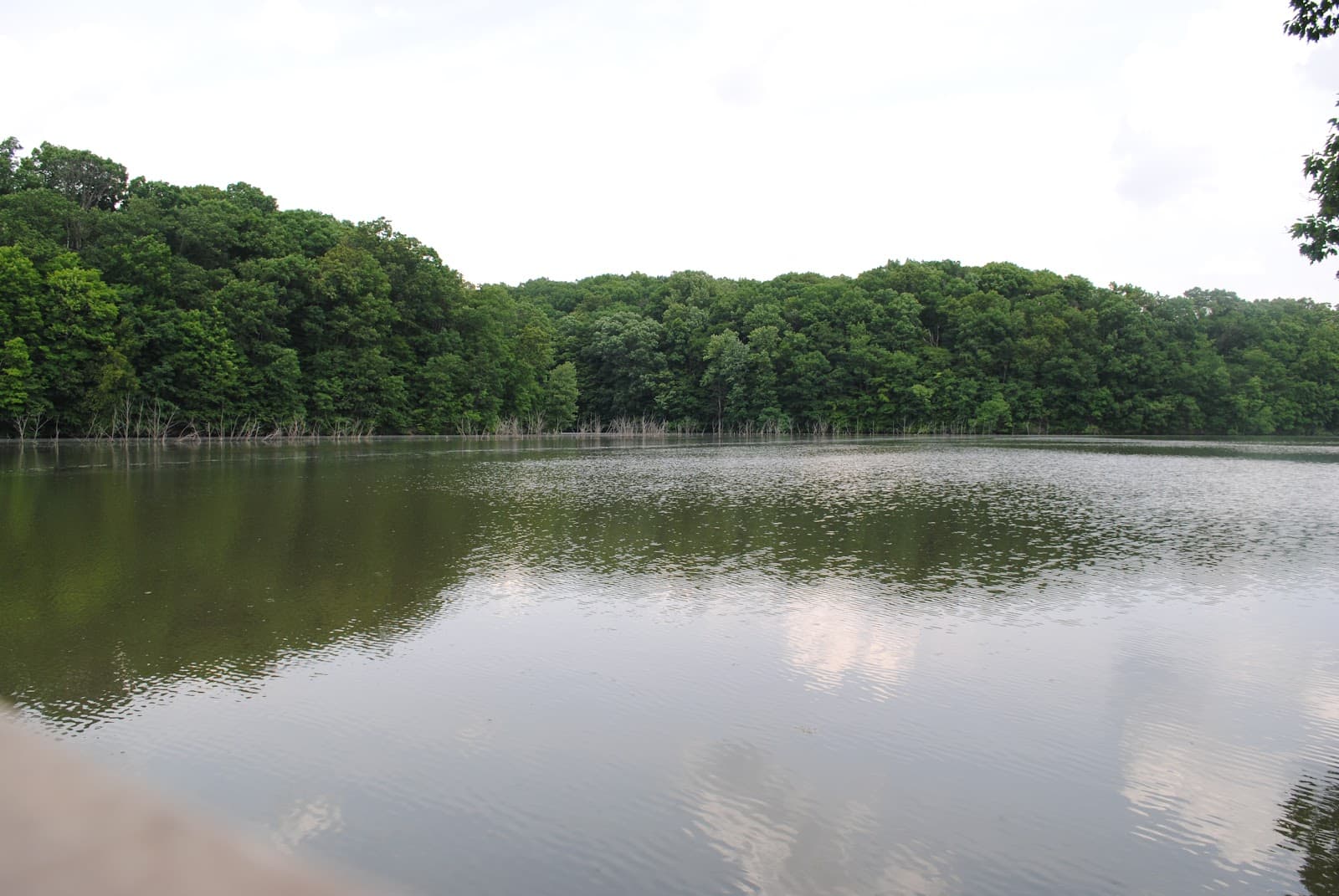 Speedwell Forge Lake - Image 1